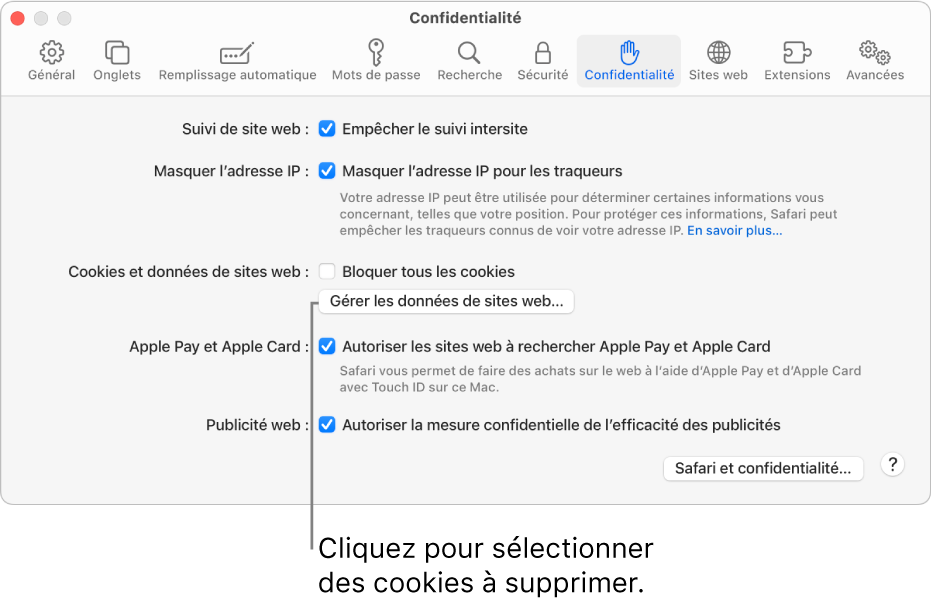 Safari Réglages Confidentalité